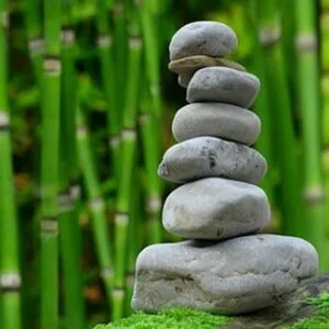 Das schönste Yogastudio in Wiesbaden